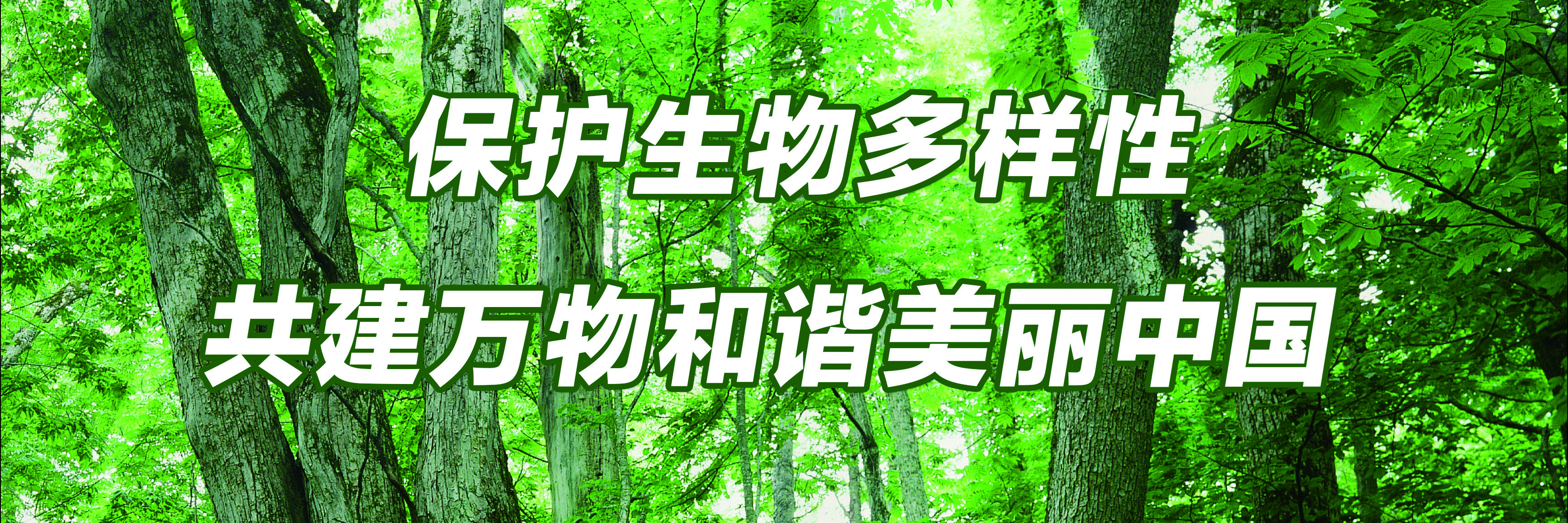 ?;ど锒嘌? extra="title=